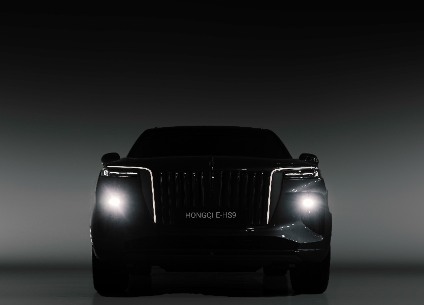 model highlights image